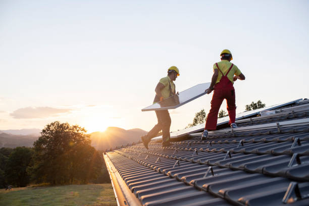 Best Roof Maintenance and Cleaning  in Carbondale, CO